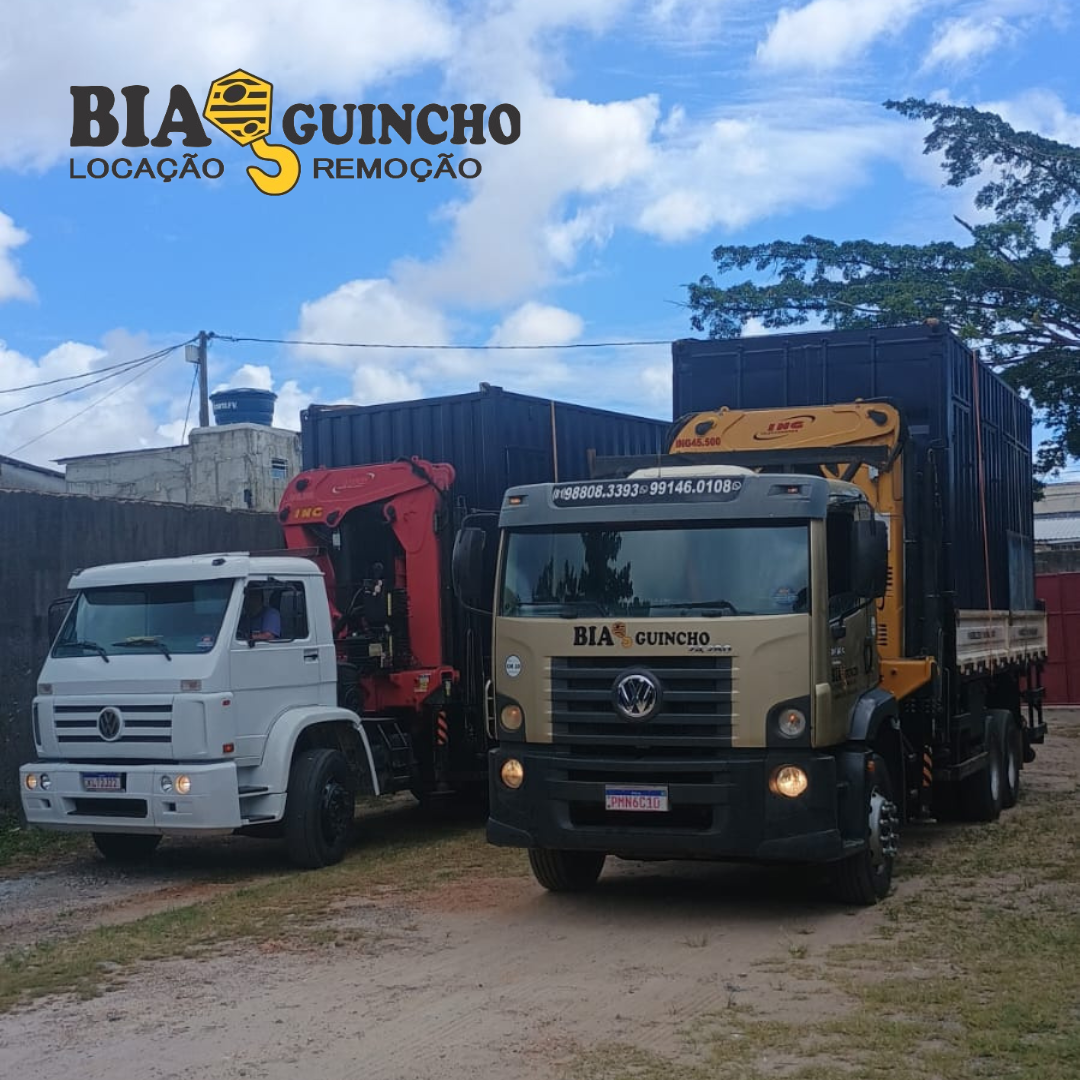 Movimentação segura e precisa Confie na experiência da BIA MUNCK! (25).png