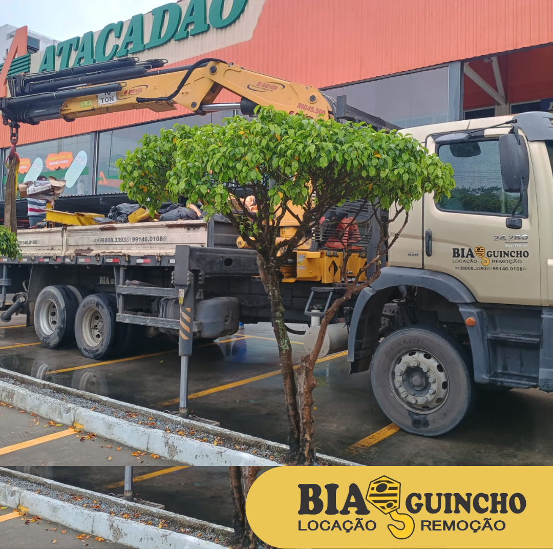 Movimentação segura e precisa Confie na experiência da BIA MUNCK! (8).png