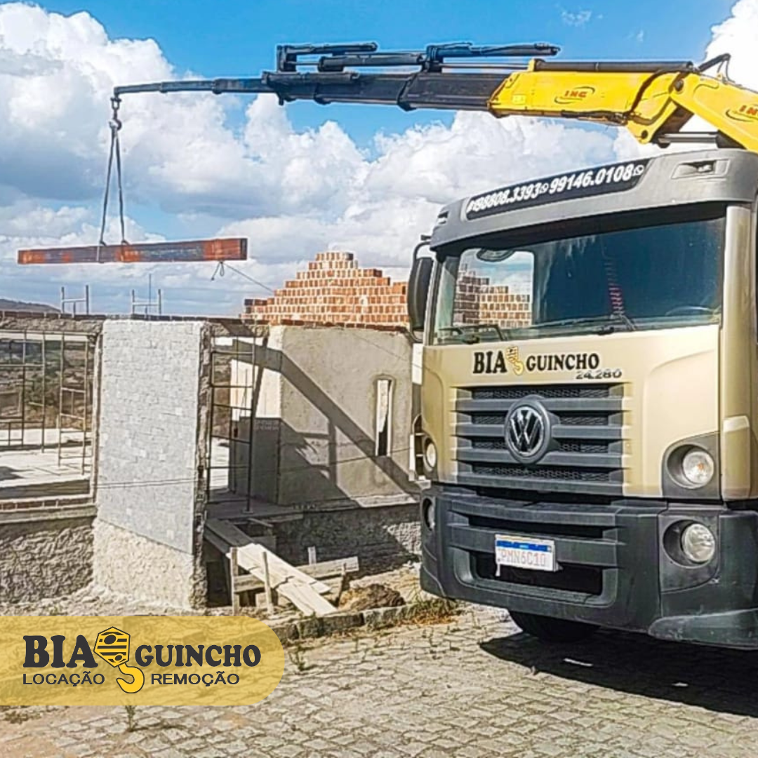 Movimentação segura e precisa Confie na experiência da BIA MUNCK! (4).png